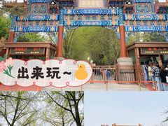-雍和宫