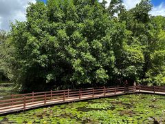 -野象谷景区