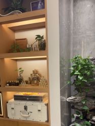 -雅曼妮spa美容养生