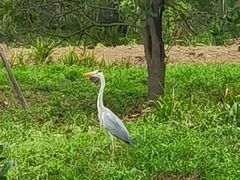 -桤木河湿地公园