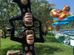 -苏州乐园森林水世界