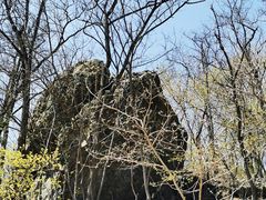 -北京西山国家森林公园