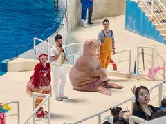-泉城欧乐堡海洋极地世界
