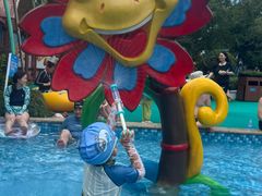 -苏州乐园森林水世界