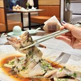 杨浦❗森林里品尝春天的味道😋