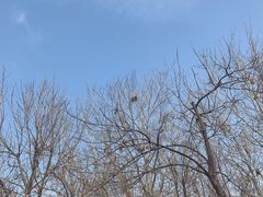 -ETC速通卡(六里桥服务网点)
