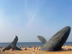 -烟台金沙滩海滨公园