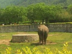 -西安秦岭野生动物园