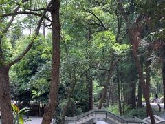 -东明山森林公园