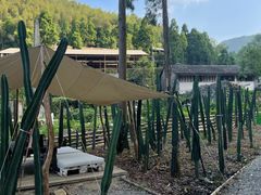 -MOJ coffee(瓯海泽雅水碓坑店)