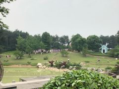 -铁山坪森林公园