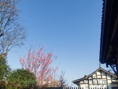 -川北道署