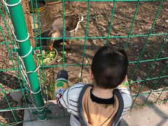 -观象山公园
