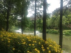 -蓝鲸(国浩路店)