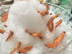 -赶海部落海鲜城(海阳路店)