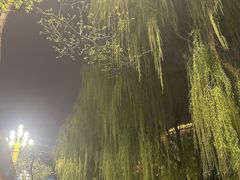 -文瀛公园