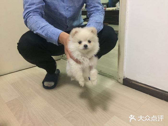 诺威宠物医院(官邸分院)图片