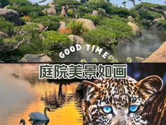 -罗红摄影艺术馆