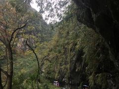 -太鲁阁公园