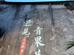 -青果巷历史文化街区