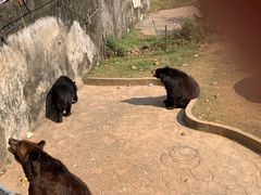 -无锡动物园·太湖欢乐园