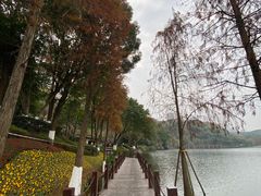 -重庆彩云湖湿地公园