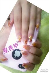 干花水晶甲-星美甲