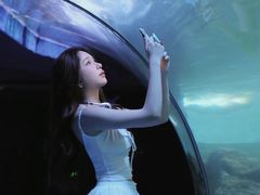 -左海海底世界