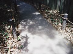 -热田神宫