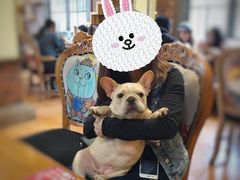 -more than meow吴止猫主题餐厅(承德 中船汇店)