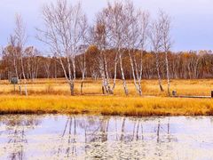 -塞罕坝国家级自然保护区