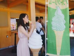 -富士山吉田線五合目