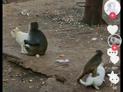 -昆明动物园