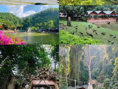 -西双版纳原始森林公园