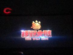 -枫花园汽车电影院(朝阳公园店)