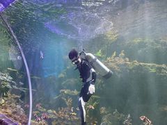 -华夏文旅海洋公园