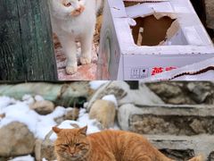 -北京水岸山吧度假村(雁栖镇店)