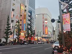-秋叶原电器街