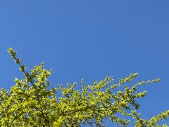 -北京凤凰岭