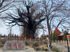 -大槐树寻根祭祖园