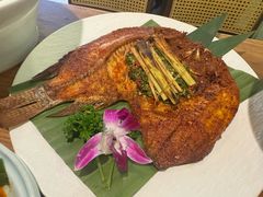 -紫滇源云南生态菜(丹凤街店)