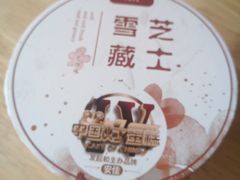 雪藏芝士(巧克力味)-卡滋贝诺动物奶油生日蛋糕(亚太潮尚店)