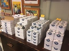 -猫咪博物馆(顶澳仔猫街店)