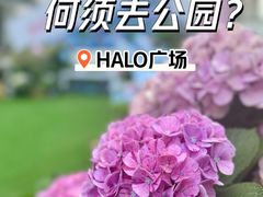 -HALO广场(梨园路店)