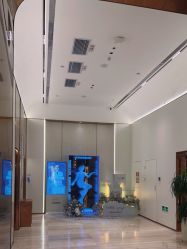 -深圳美莱医疗美容医院