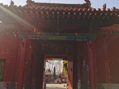 -大槐树寻根祭祖园