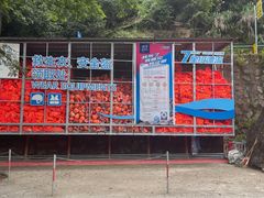 -雅鲁激流探险漂流