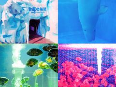 -秦皇岛乐岛海洋王国