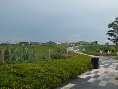 -光明小镇欢乐田园