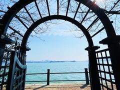 -无锡蠡湖国家湿地公园-蠡园